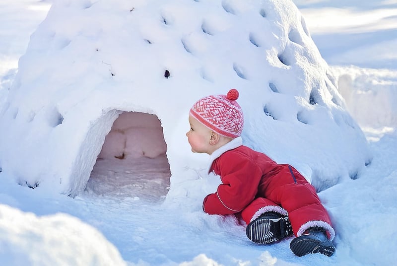 Glass Igloo Image